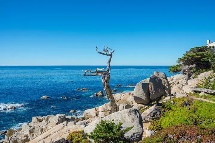 17-Mile Drive Self-Guided Audio Tour from Monterey & Carmel