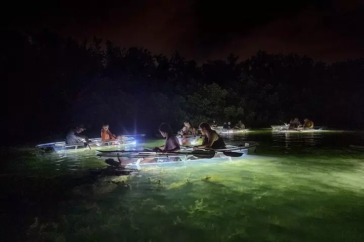 Siesta Key, FL - Clear Kayak LED Night Glass Bottom Tour