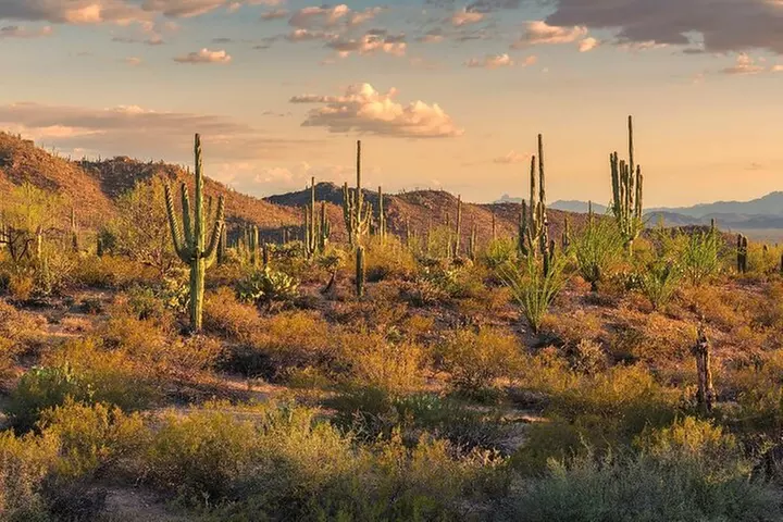 Mount Lemmon Self-Guided Driving Audio Tour