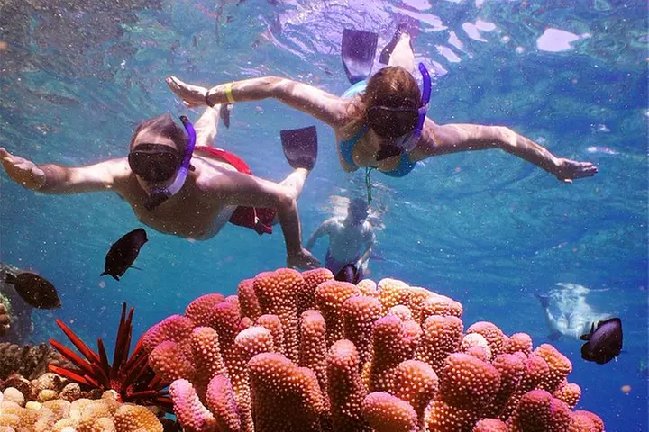 Maui Snorkeling Adventure to Molokini and Turtle Town