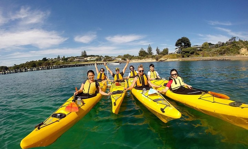 Image 1: Mornington Peninsula Kayak Coastline Tour of Dolphin Sanctuary