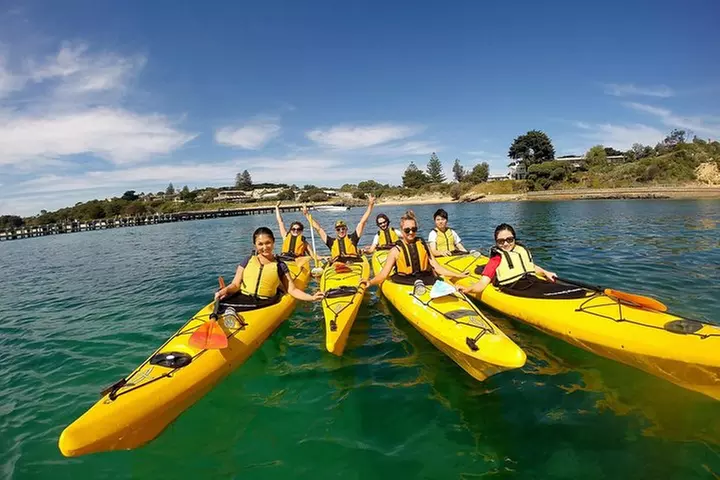 Mornington Peninsula Kayak Coastline Tour of Dolphin Sanctuary