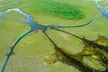 60 min. Everglades Airboat ride & pick-up ,small group +pro guide - Second Medium