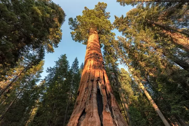 Yosemite National Park Self Guided Driving Audio Tour Guide