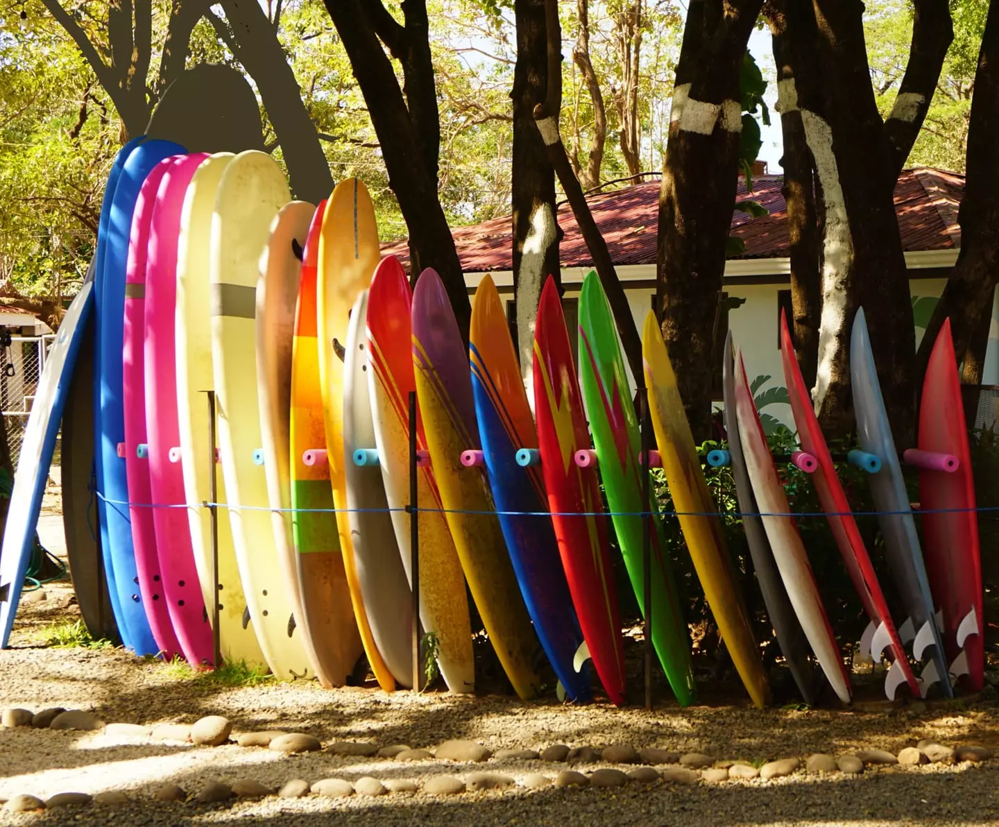 ✈ COSTA RICA | San José - L'essenziale della Costa Rica con estensi...