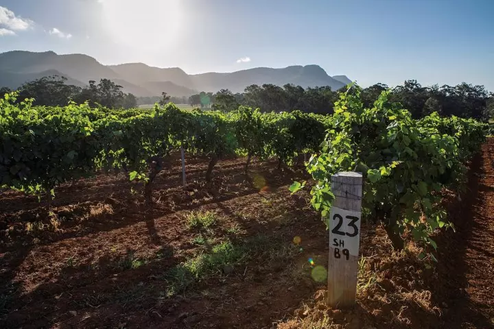 Scenic Hunter Valley Tour with Wine and Cheese Tastings