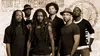 Rootz Underground