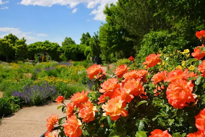 Admission Ticket to Red Butte Garden - Primary Image