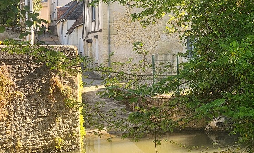 Image 6: Découvrez Amboise dans les pas de Léonard de Vinci