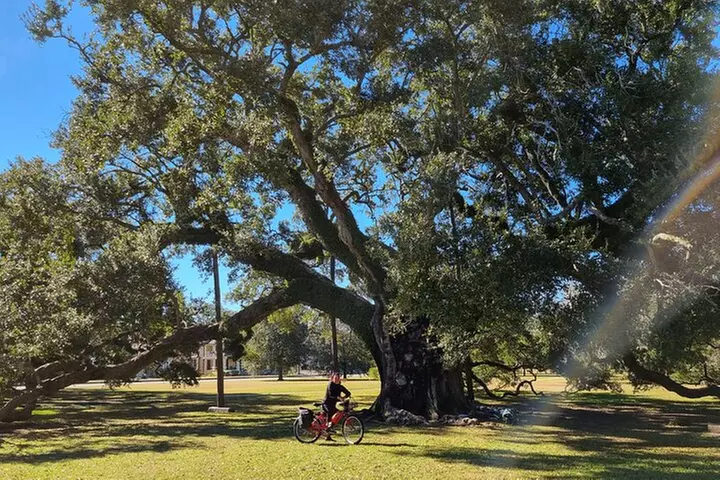 Beyond the French Quarter Bike Tour