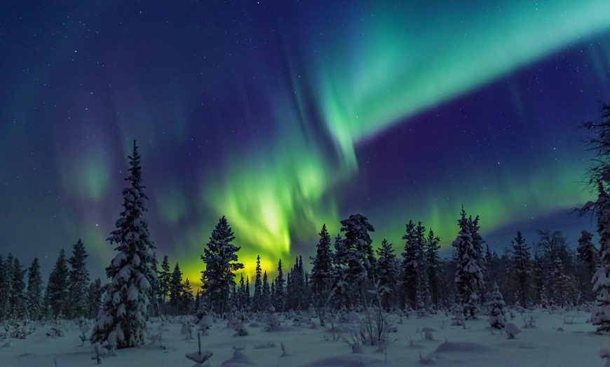 Image 8: ✈ LAPONIE | Rovaniemi - Rêves Arctiques : Expérience Santa et Igloo...