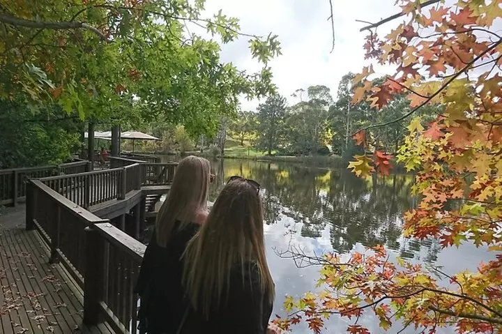 Adelaide Hills, Hahndorf and McLaren Vale Tour - Image 6