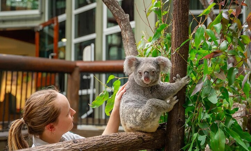 Image 13: Brisbane Private Shore Excursions with Lone Pine Koala Sanctuary