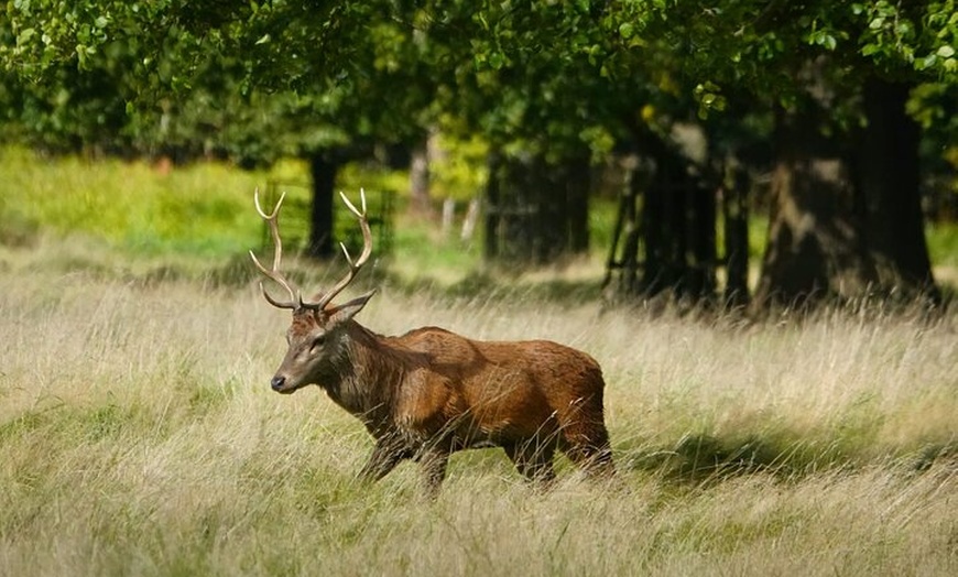 Image 18: Hampton Court Palace from Southampton Cruise Terminal