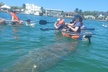 Clear Kayak Glass Bottom Day Tour - Sarasota - Second Medium