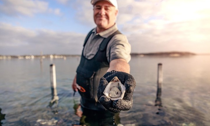 Image 10: Coffin Bay Oyster Farm & Tasting Tour