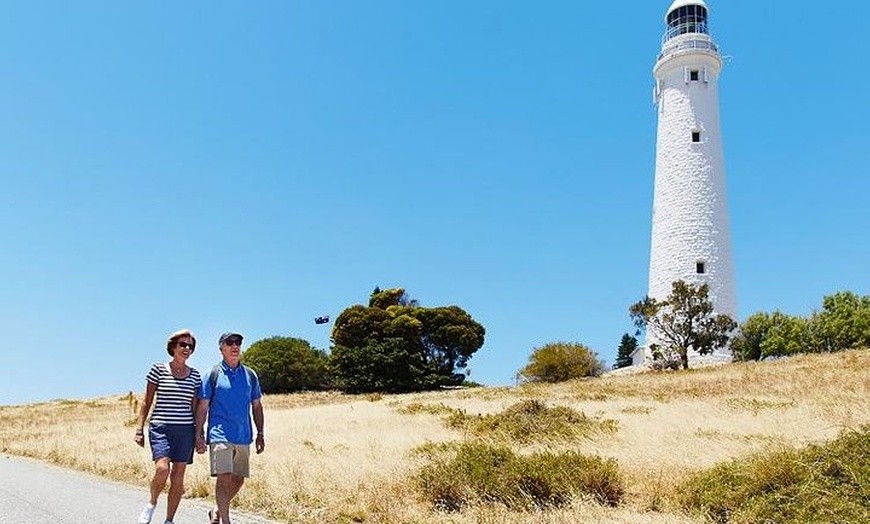 Image 3: Rottnest Island Bayseeker Tour