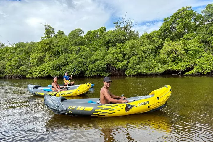 Fort Lauderdale: Kayak/SUP on Mangroves w/ Snacks & Drinks