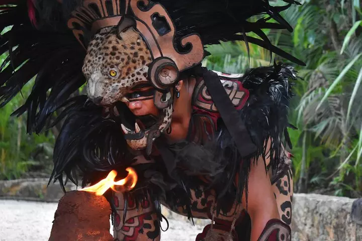 Snorkel in the second largest reef in the world Colorful tour in Pu...