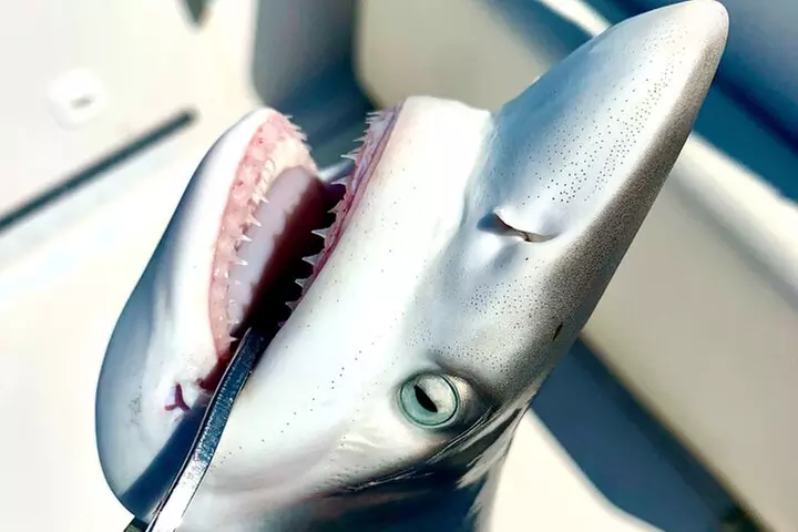 Private Bay Fishing South Padre Island