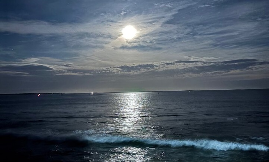 Image 10: Jervis Bay and Shoalhaven South Coast NSW Private Tours