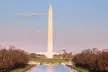 Discover DC Private Tours - Second Medium