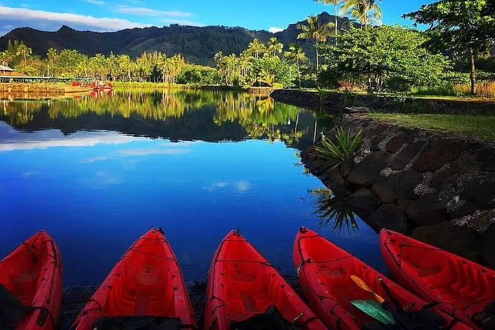 Wailua River & Waterfalls Kayak Tour: Expert-Guided Adventure
