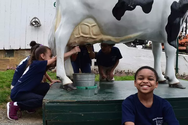 Premium Amish Country Tour including Amish Farm and House