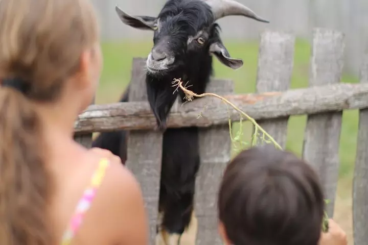 Plimoth Patuxet Admission with Mayflower II & Plimoth Grist Mill