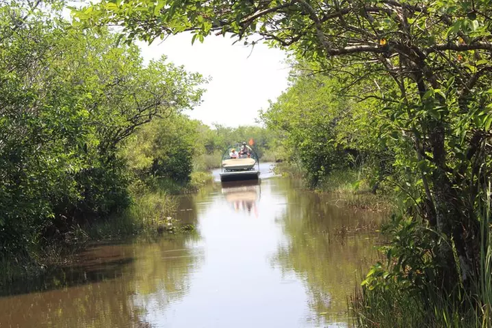 Everglades & Miami city tour with experienced guide in small group