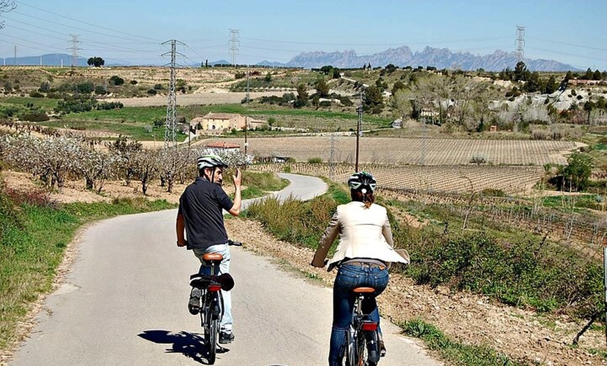 Image 7: Ruta En Bicicleta Eléctrica Y Cata De Vinos