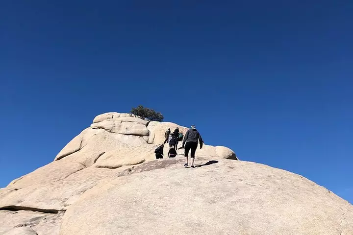 Joshua Tree National Park Driving Tour