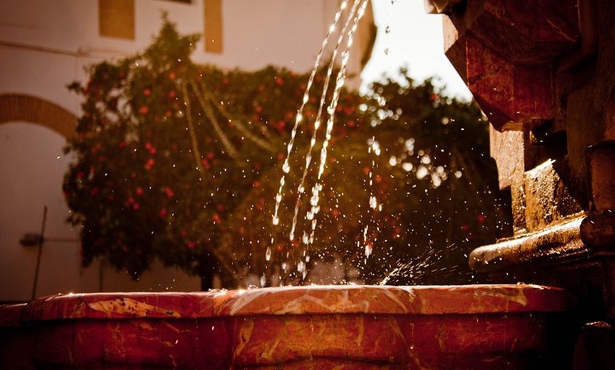 Image 15: Recorrido a pie de 3 horas por Sevilla