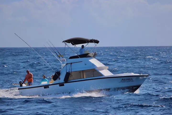 Private fishing charter Bertram 31ft 6 pax max if you don't fish yo...