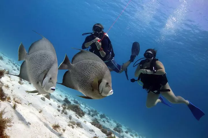 PADI Open Water Diver Course - Second Medium