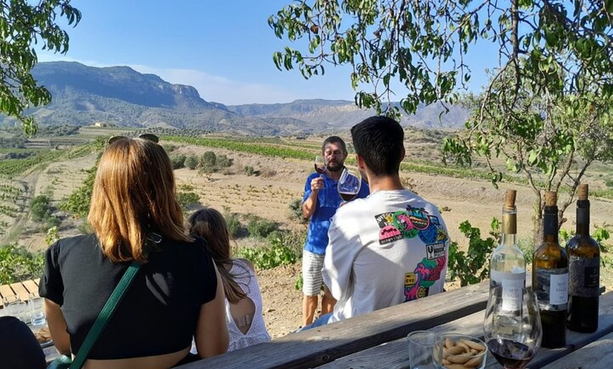 Image 2: Tour priorat a 3 bodegas pequeñas y recogida en hotel
