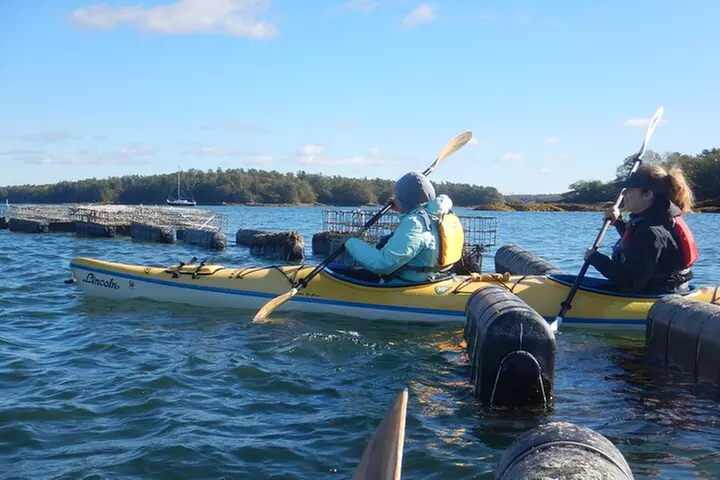Oyster Farm & Complimentary Tasting Sea Kayak Tour in Casco Bay