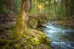 Private Tennessee Waterfalls 2 Days Trip - Second Medium