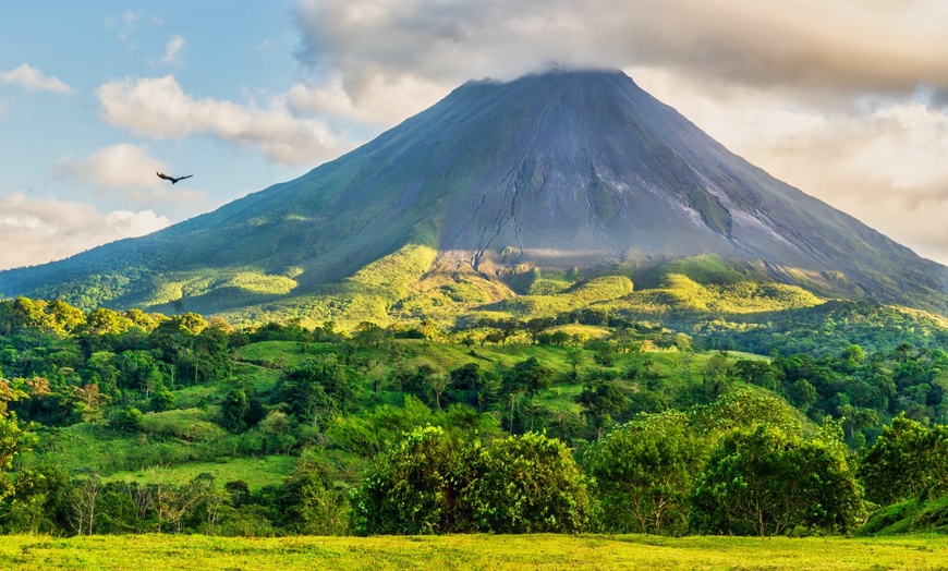 Image 8: ✈ COSTA RICA | San José - Autotour entre forêt tropicale et plage e...