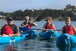 Guided Kayak Tour of Manly Cove Beaches - Image 3