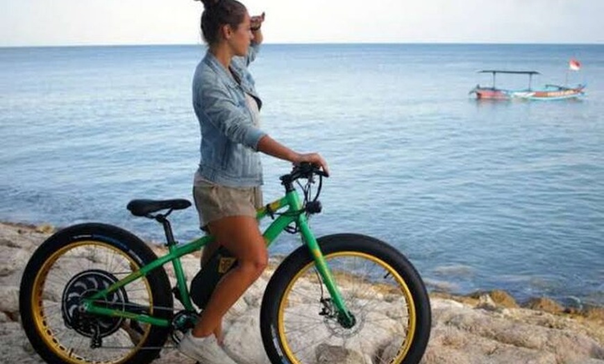 Image 7: Experience E-bike at Byron Bay