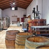 Image 13: Visita a la Bodega, Museo del Vino y Cata en Gran Canaria
