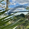 Image 5: Sydney: PRIVATE City Highlights & Ocean Front Luxe Tour (4h)