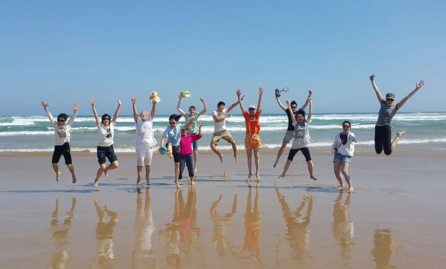 Image 13: Port Stephens Unlimited Sandboarding and Sand Surfing