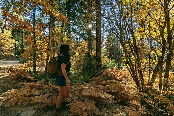 Family-Friendly Nature Hike around the Big Bear Valley