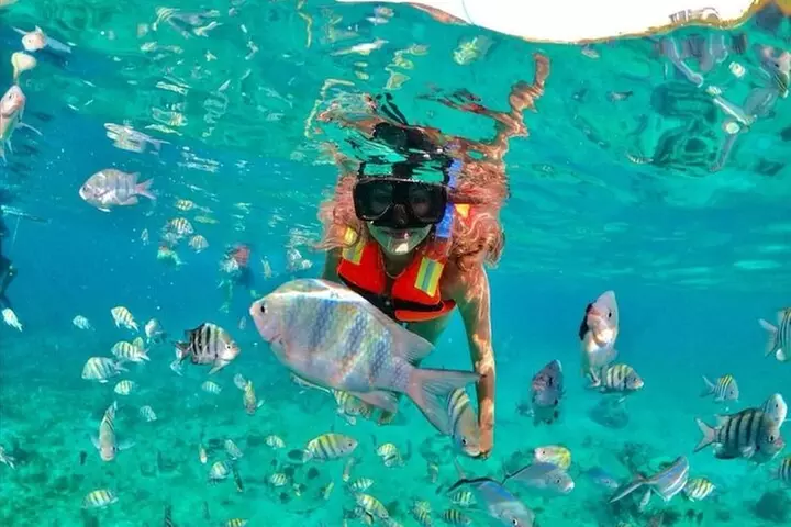 Snorkeling tour Express in Cancun with Certified Guide - Primary Image
