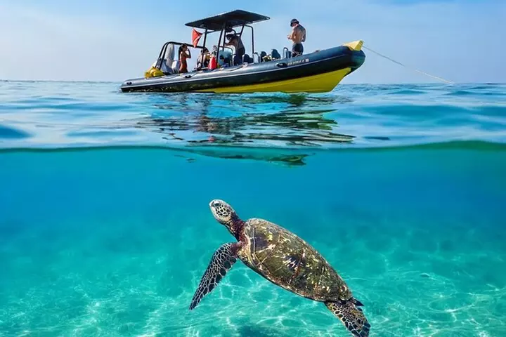 Private Turtle Canyon Snorkel Tour - Up to 6 Passengers - Primary Image