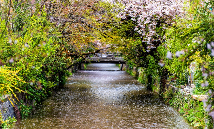 Image 14: ✈ JAPON | De Tokyo à Osaka - Essentiel du Japon 3* - Circuit