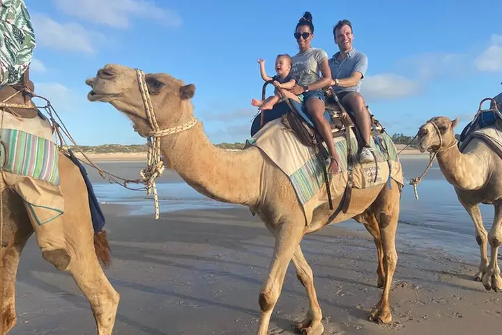 1 Hour Broome Sunset Camel Tour