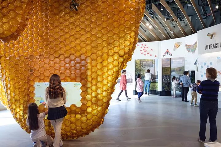 American Museum of Natural History Admission Ticket